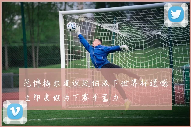 范博梅尔建议廷伯放下世界杯遗憾立即度假为下赛季蓄力